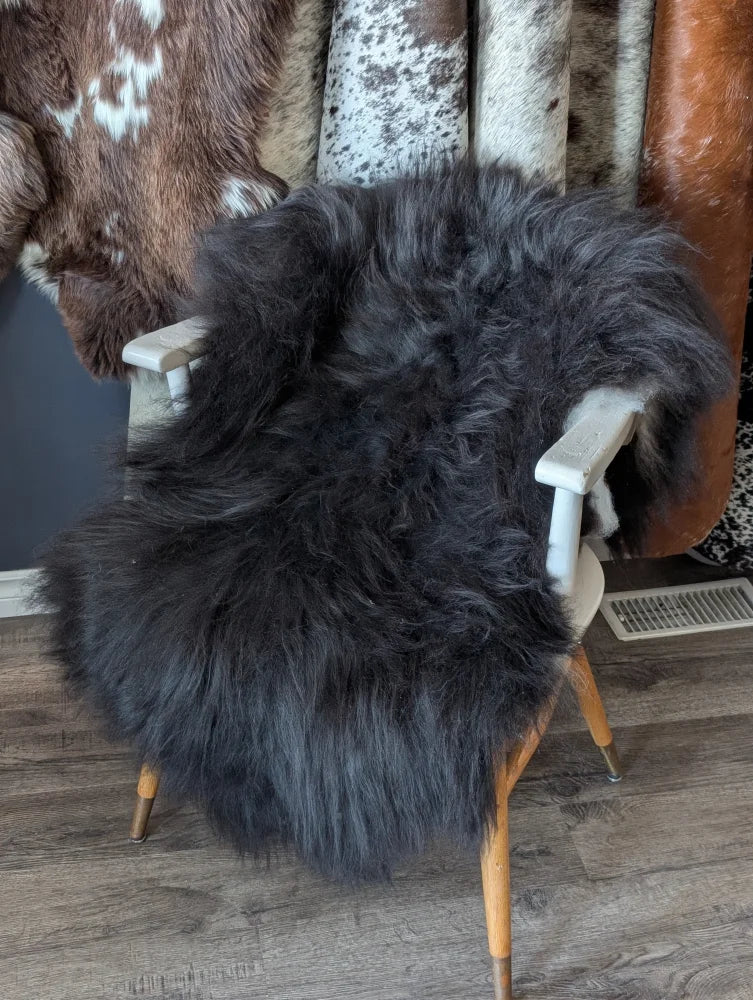 A plush dark gray natural blacky long wool icelandic sheepskin draped over a white wooden chair with light wood legs
