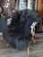 A plush dark gray natural blacky long wool icelandic sheepskin draped over a white wooden chair with light wood legs