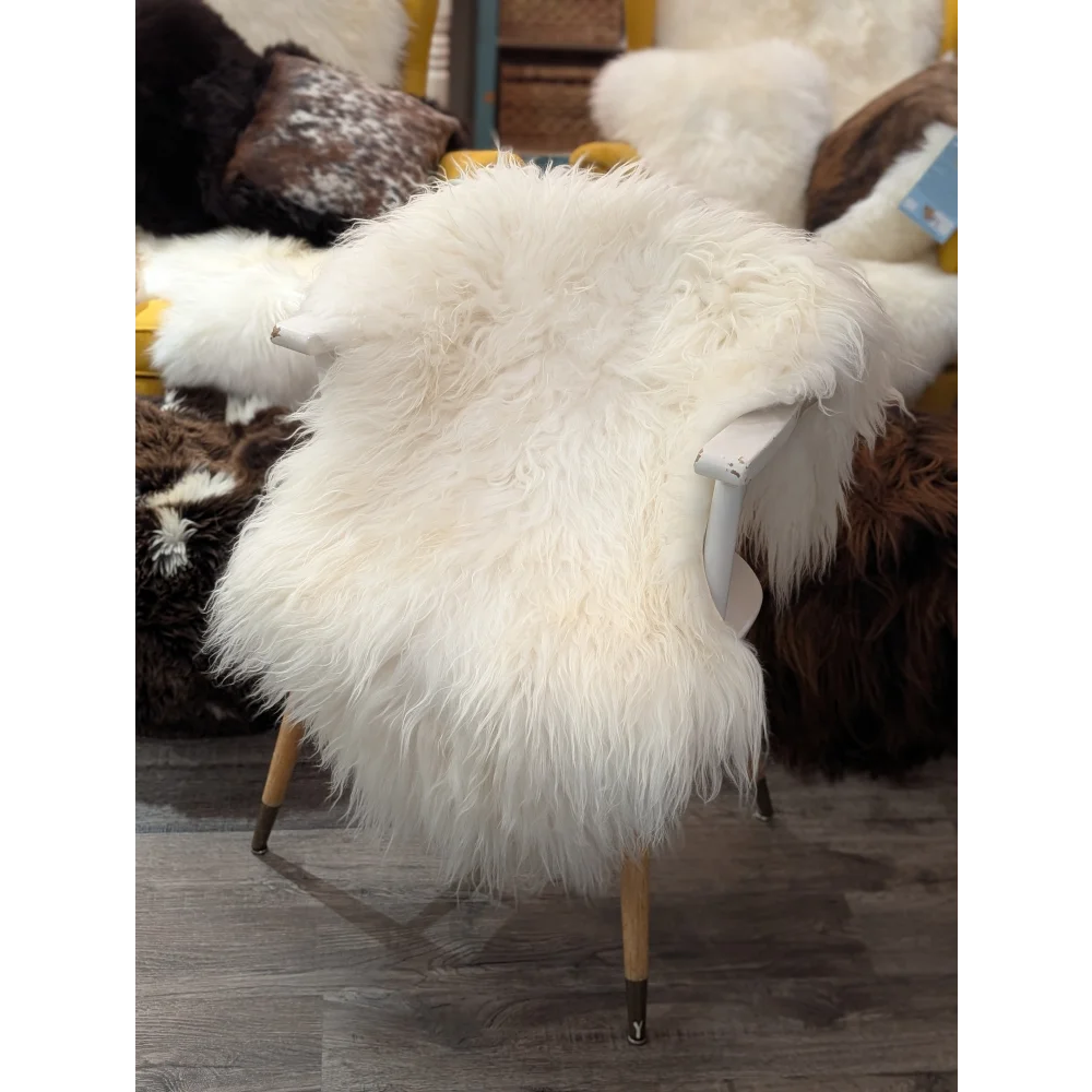 Natural white icelandic sheepskin fluffy chair cover with long soft fur on white wooden frame for cozy seating