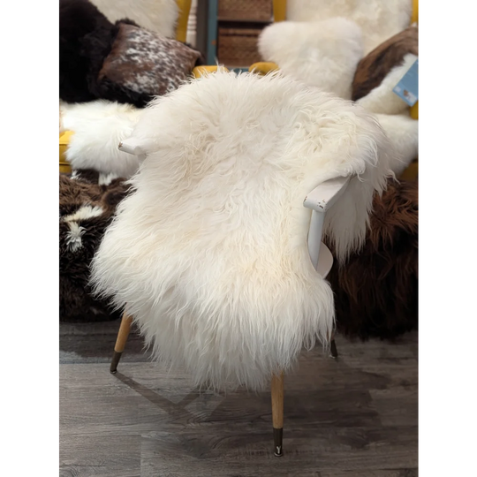 Natural white icelandic sheepskin fluffy chair cover with long soft fur on white wooden frame for cozy seating