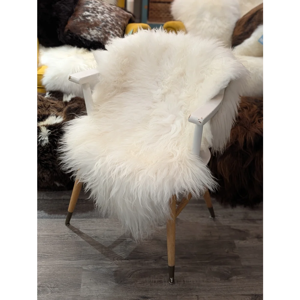 Natural white icelandic sheepskin draped over a white frame chair with fluffy soft texture perfect as sheepskin rugs