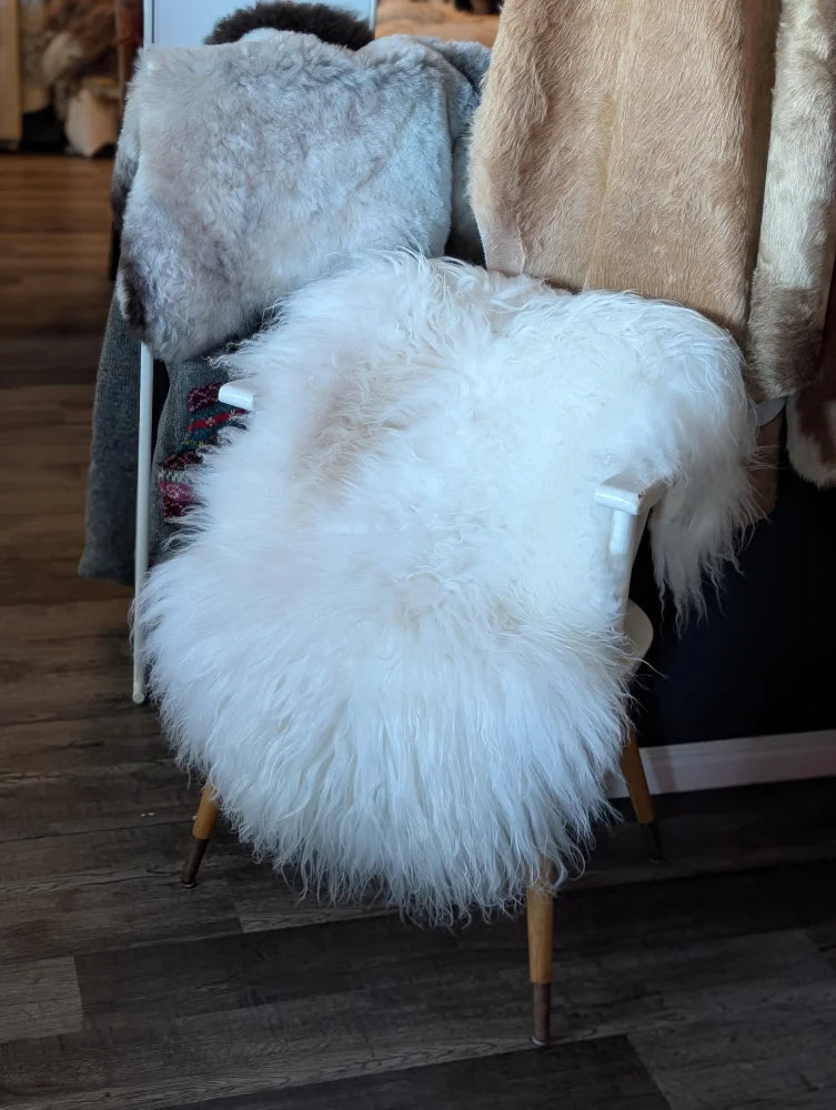 A plush fluffy natural white icelandic sheepskin rug with long wool icelandic texture draped over a chair