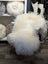A plush cream-colored natural white icelandic sheepskin throw draped over a white chair with wooden legs
