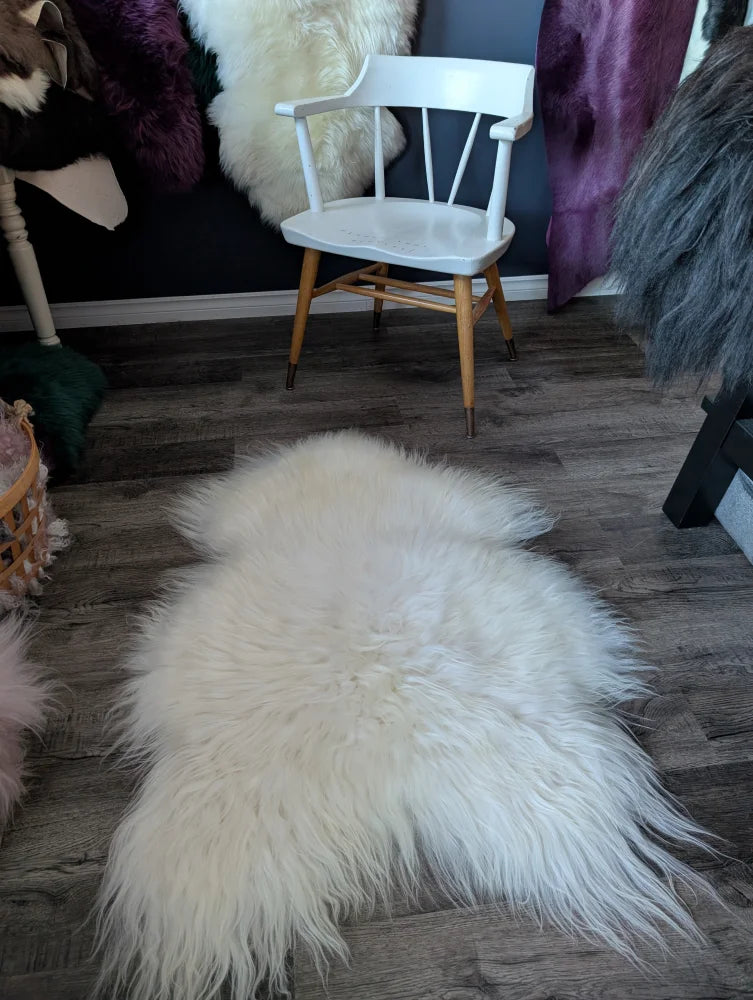 Natural white icelandic sheepskins rug with long soft wool icelandic fibers on a wooden floor