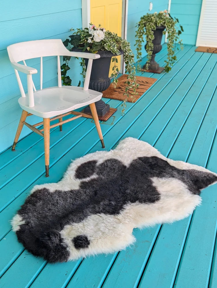 A plush natural black icelandic sheepskin rug with irregular shape on bright blue wooden deck arriving soon