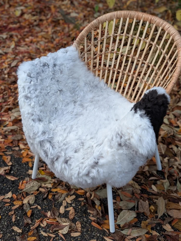 A plush natural black icelandic sheepskin throw blanket shaped like a sheep draped over a wicker chair arriving soon