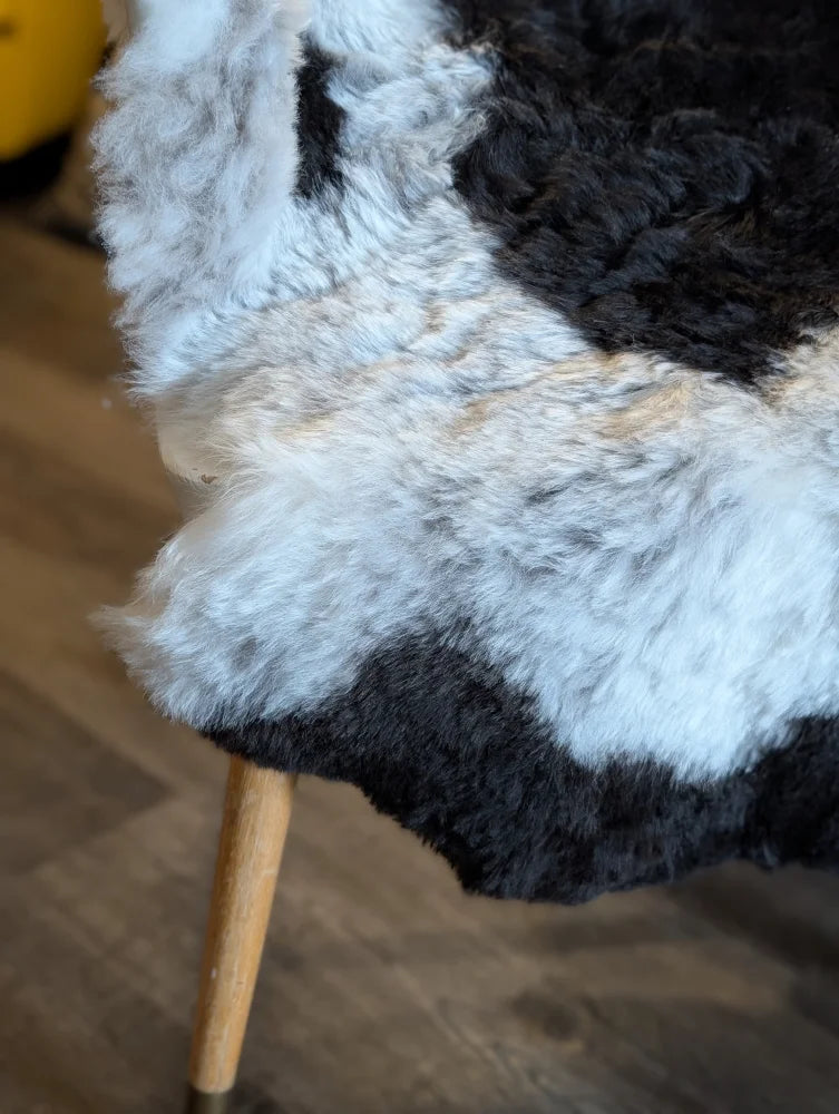 A plush natural black icelandic sheepskin rug with soft curly texture from naturally spotted icelandic sheepskins arriving soon