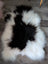 A plush natural black icelandic sheepskin rug with long soft fur and naturally spotted patterns arriving soon
