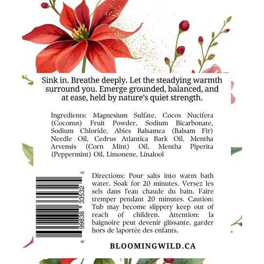 Naughty & Nice coconut milk bath salt sachet with red poinsettia and fir mint