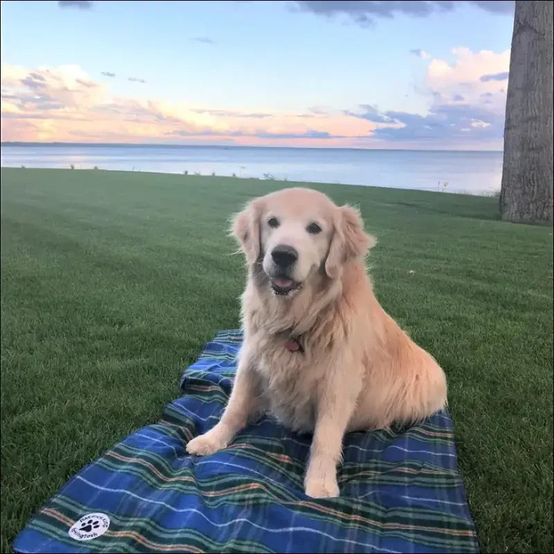 Nova Scotia Dog Blanket Large/X Large