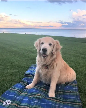Nova Scotia Dog Blanket Large/X Large