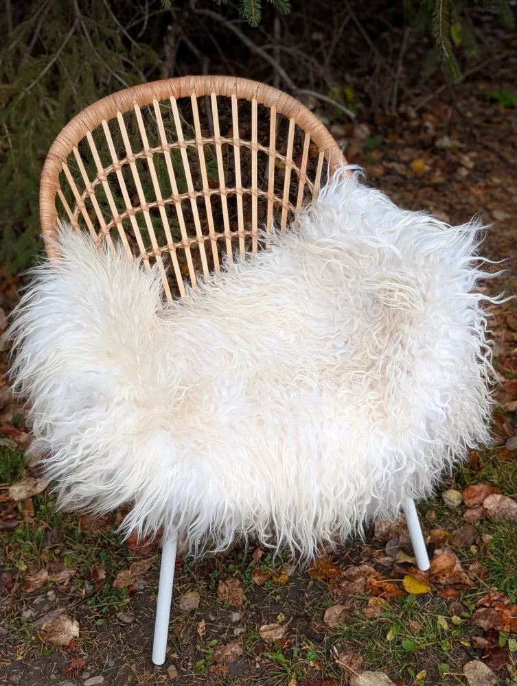 A cozy natural white icelandic sheepskin throw draped over a woven rattan chair with slender white legs