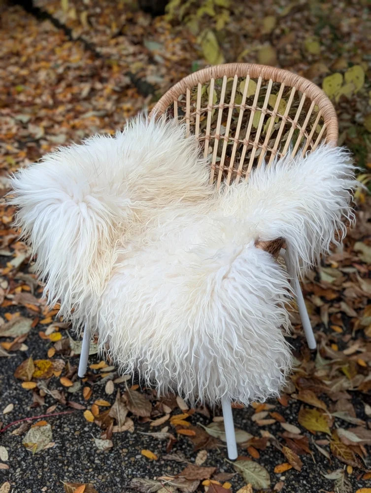 A plush natural white icelandic sheepskin throw draped over a woven rattan chair with white metal legs