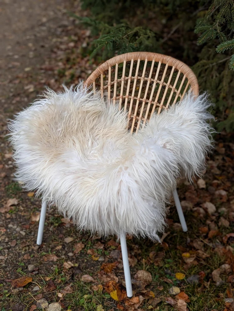 A fluffy natural white icelandic sheepskin cover draped over a woven rattan chair with metal legs