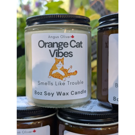 8oz soy wax orange cat vibes candle with fun label