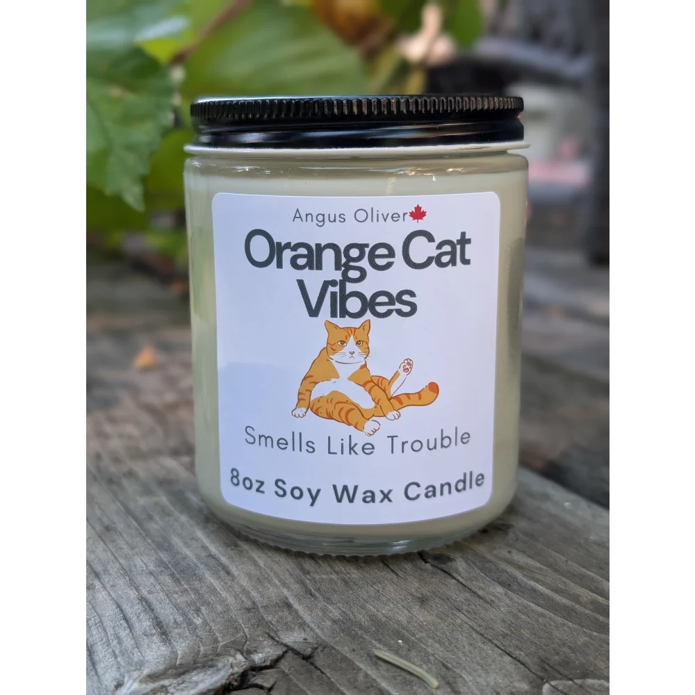 Orange Cat Vibes 8oz soy wax candle with black lid
