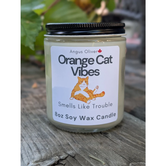 Orange Cat Vibes 8oz soy wax candle with black lid