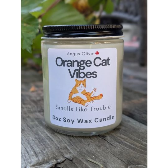 8oz soy wax Orange Cat Vibes Candle with orange cat design and black lid