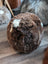 Natural British Angus Oliver fluffy sheepskin floor pouf