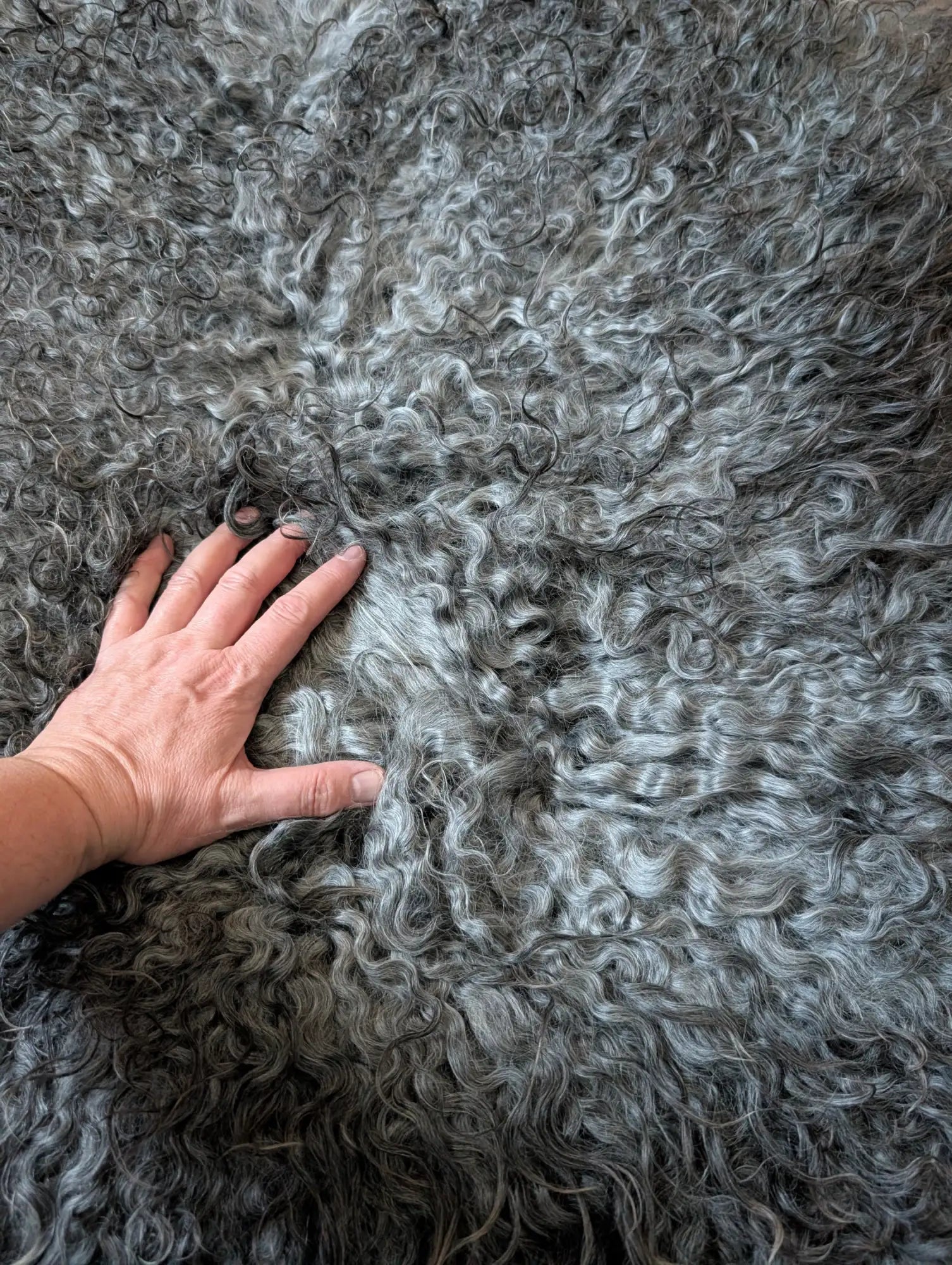 A plush, curly gray sheepskin rug with a soft, dense texture.