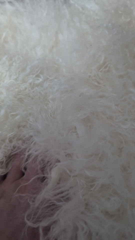 Spécial ! Superbe peau de mouton blanche de Mongolie
