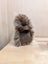 A plush brown porcupine toy called prickle porcupine with soft spiky fur and a gentle expression