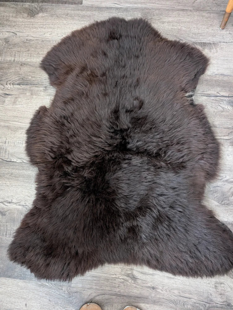 A plush dark brown british isles sheepskin rug with dense fur texture and natural irregular edges arriving soon