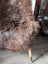 Brown fluffy faux fur chair with wooden leg and brass tip made from rare breed british isles sheepskin