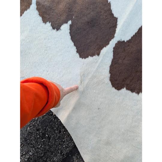 Extra large cowhide rug with brown spots on white leather texture, 96x84.5