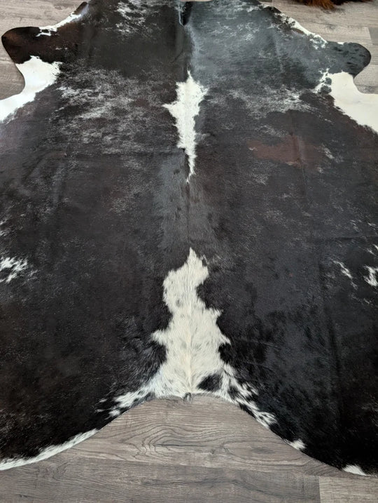 Extra large black and white cowhide rug with natural irregular patches in a reddish 89 by 77 large cowhide design