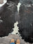 Reddish#476 extra large black and white cowhide rug with natural fur texture perfect large cowhide for spacious rooms