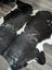 Extra large reddish black and white cowhide rug with natural fur texture large cowhide for stylish decor