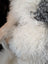 Ridiculously over the top grey sheepskin cushion rug fluffy texture