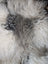 Ridiculously over the top grey sheepskin cushion rug fluffy curly texture