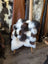 Ridiculously over the top checkered sheepskin cushion on wooden frame