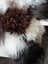 Fluffy curly dog on ridiculously over the top checkered sheepskin cushion