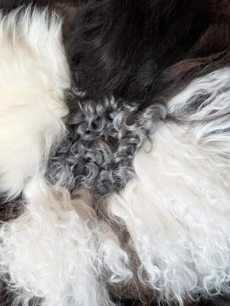 Ridiculously over the top checkered sheepskin cushion with curly white, black, gray fur rug
