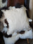 Cream-colored sheepskin cushion on plush cowhide chair