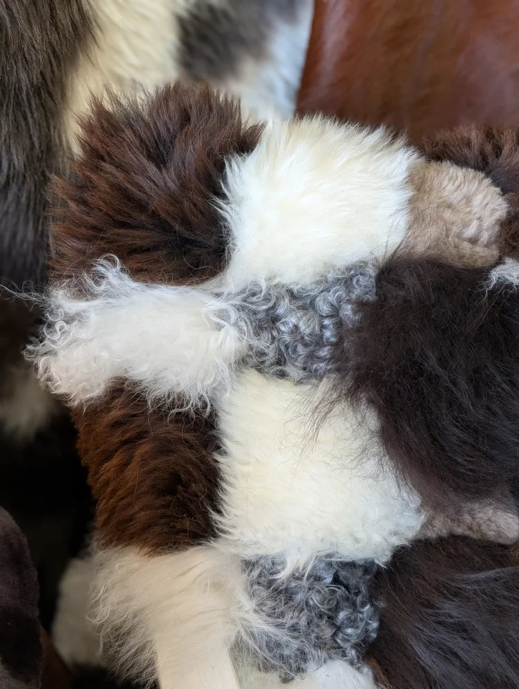 Fluffy multicolored poodle on ridiculously over the top sheepskin cushion