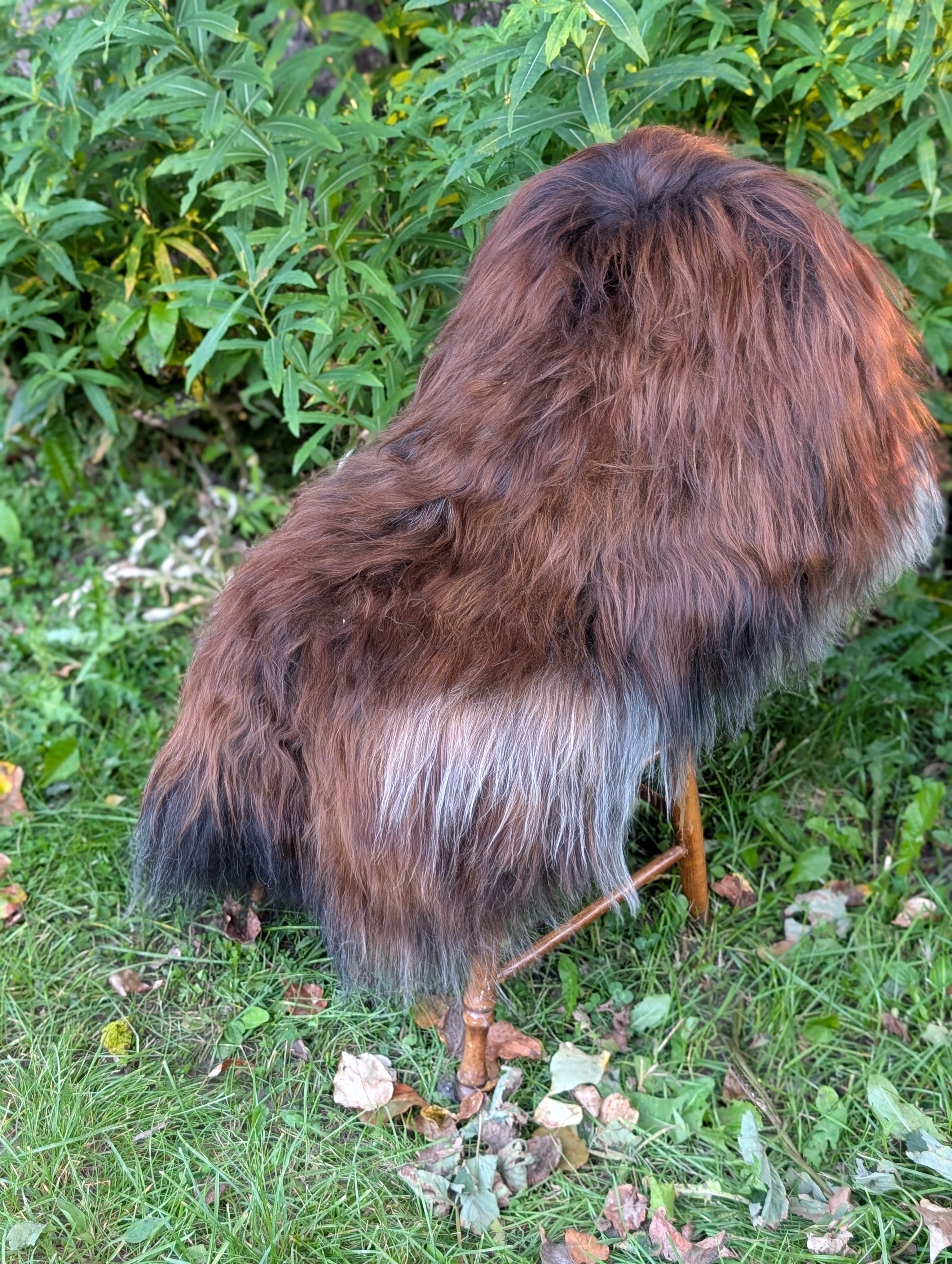 Fall#2 Massive Natural Dark Rusty Icelandic Sheepskins