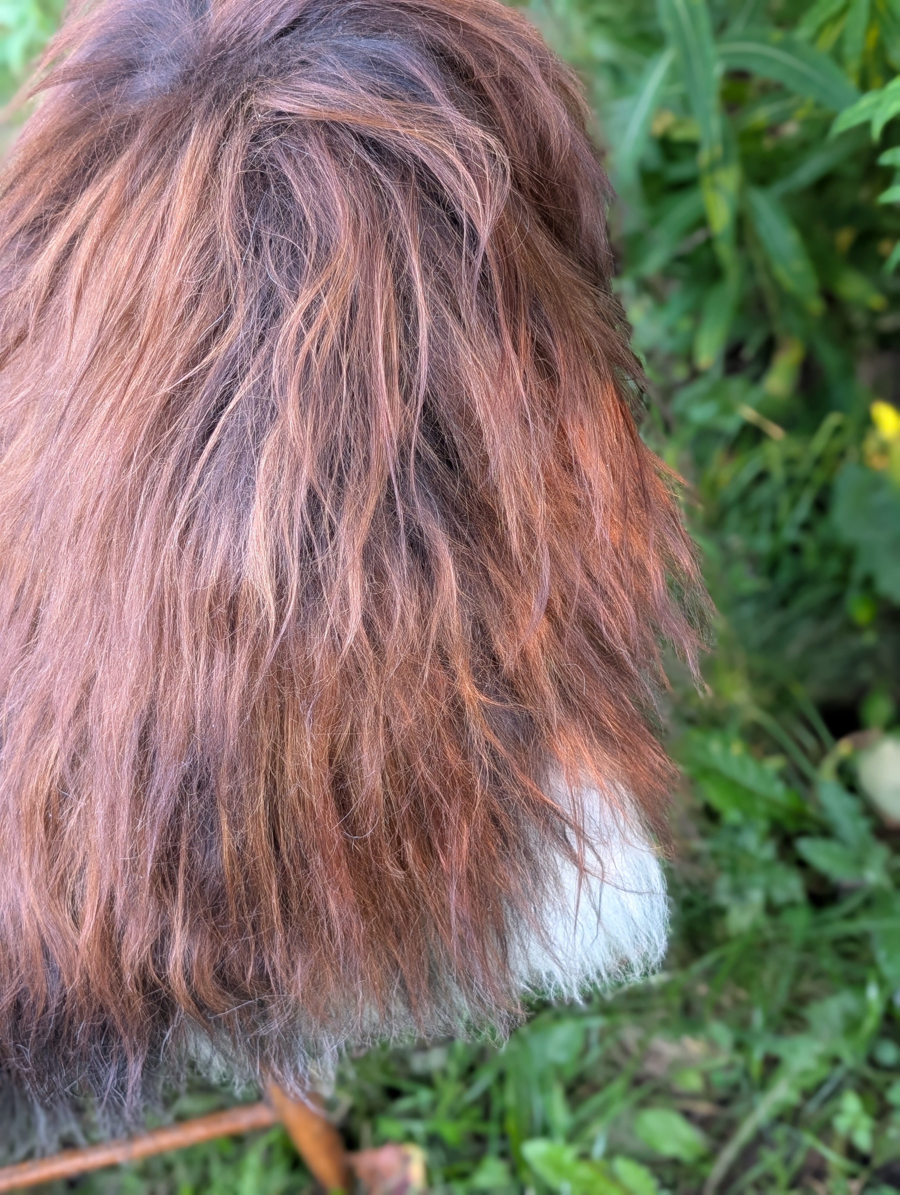 Fall#2 Massive Natural Dark Rusty Icelandic Sheepskins