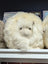 Cream-colored plush sheepskin cushion, like a Build-A-Bear stuffed animal