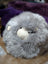 Grey fluffy guinea pig plush on Gotland sheepskin cushion