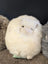 Cute white plush bunny on soft Icelandic sheepskin cushion