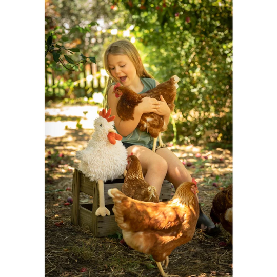 Cute white Nana Huchy Roy The Rooster plush chicken toy with red comb and beak