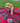 Royal Stewart Dog Blanket Small/Med