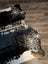 Extra large salt and pepper brown cowhide rug with natural edges perfect for beautiful rugs and large cowhides