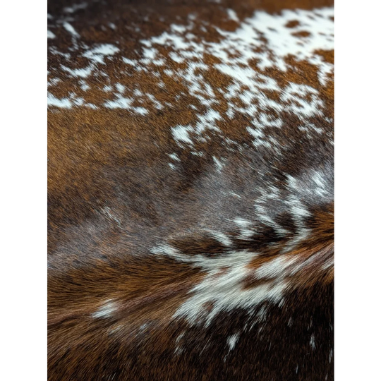 Beautiful large cowhide rug with brown and white spots, 88.5 x 76.5 inches
