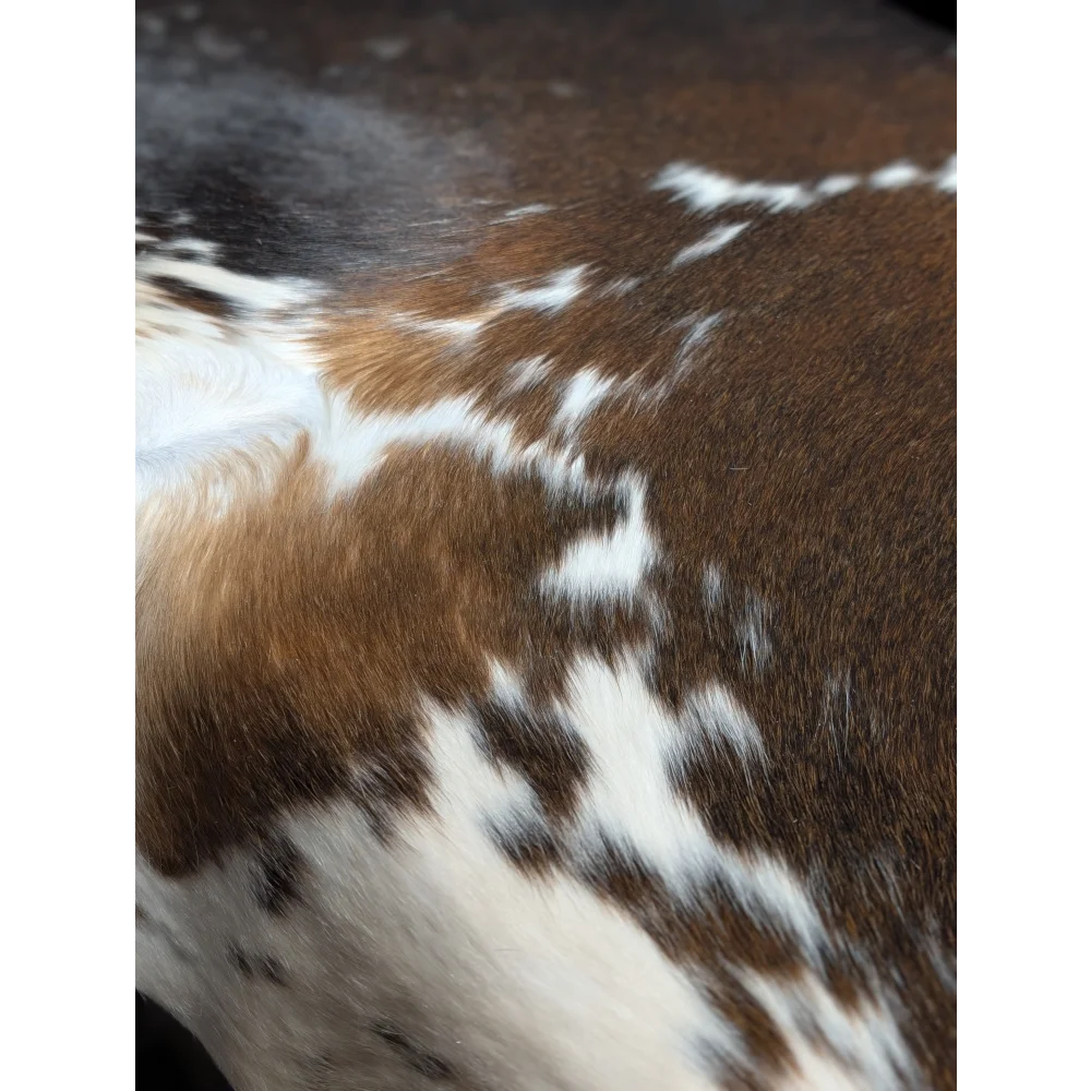 Beautiful large cowhide rug with brown white spots 88.5x76.5