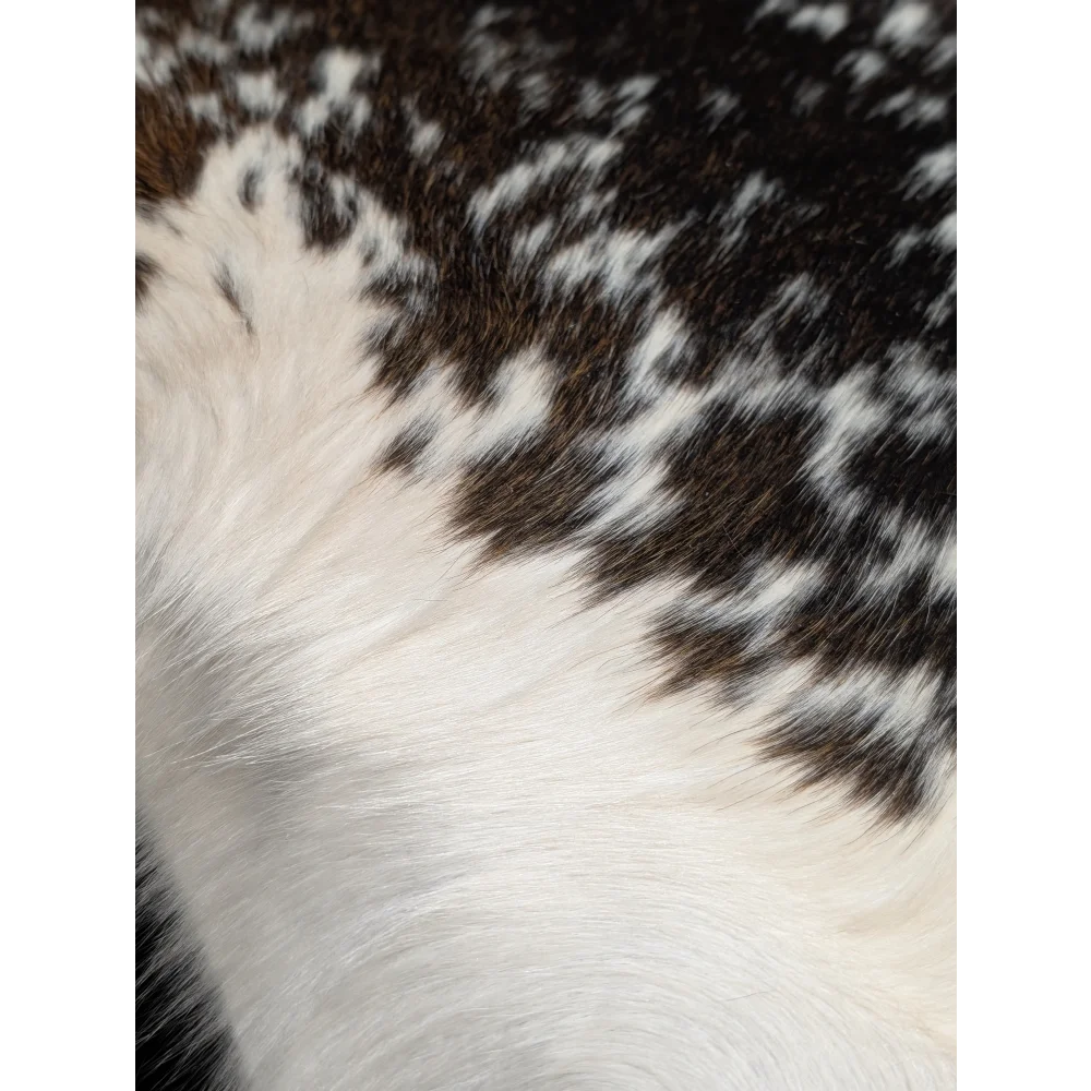 Beautiful large cowhide rug with black white spotted plush fur, 88.5x76.5in